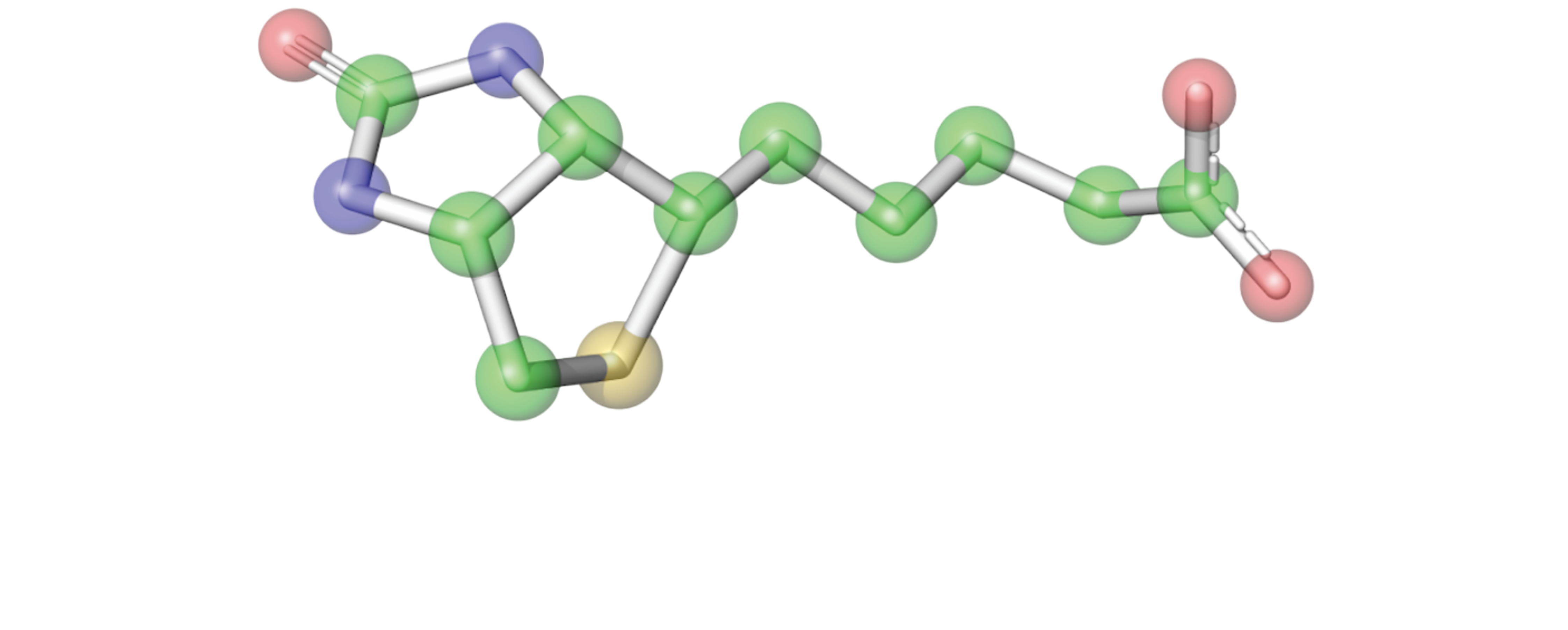 Conifer Point Pharmaceuticals