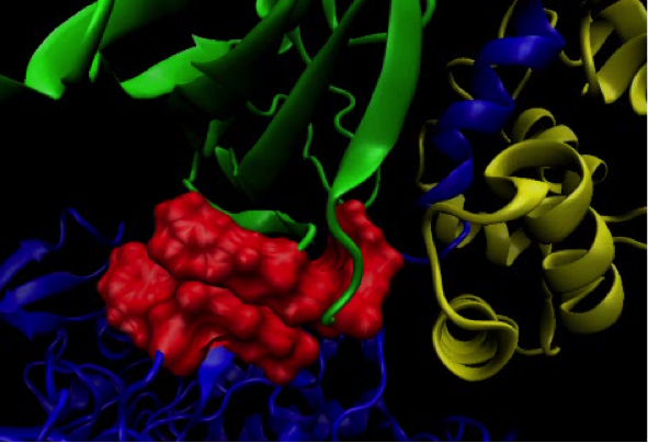 Molecular Dynamics